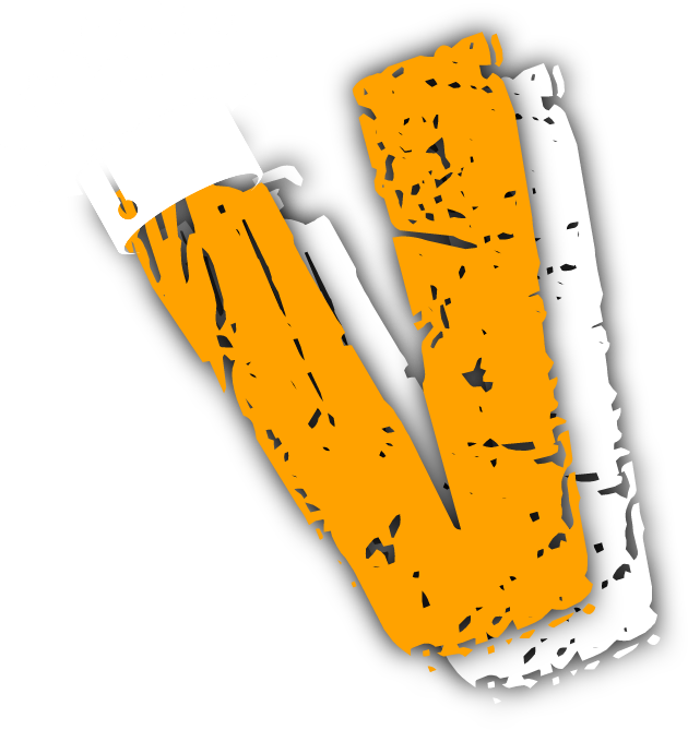 Vice Versa Academy V logo